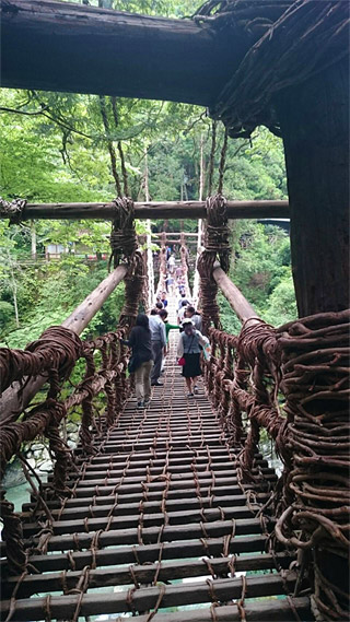 四国 かずら橋